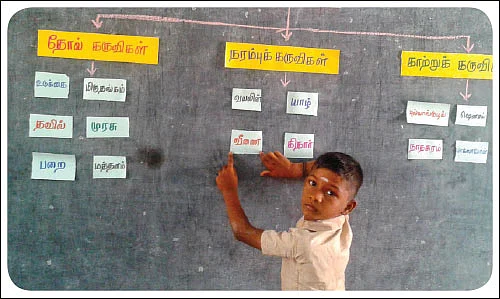 வயலின் என்ன வகையான இசைக் கருவி?