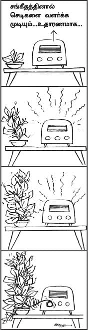 பிட்ஸ் 