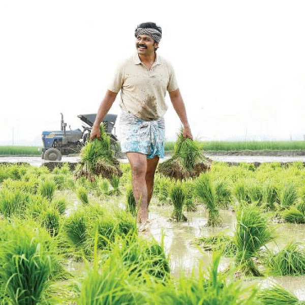கடைக்குட்டி சிங்கம்... விவசாயிக்கு மரியாதை!