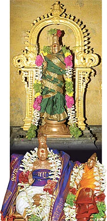 தேவாரத் திருவுலா! - திருப்பூவணம்