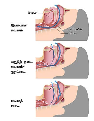 குட் நைட்!