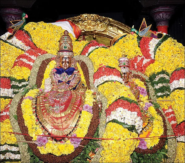 சகலமும் அருளும் கெளரி தேவி வழிபாடு!