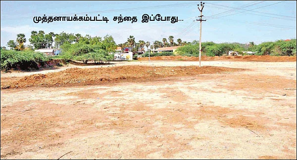 சந்தைக்கு வராத மாடுகள் சாகத்தான் போகுது!