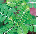 மருத்துவ டிப்ஸ், செல் டிப்ஸ், சமையல் டிப்ஸ்