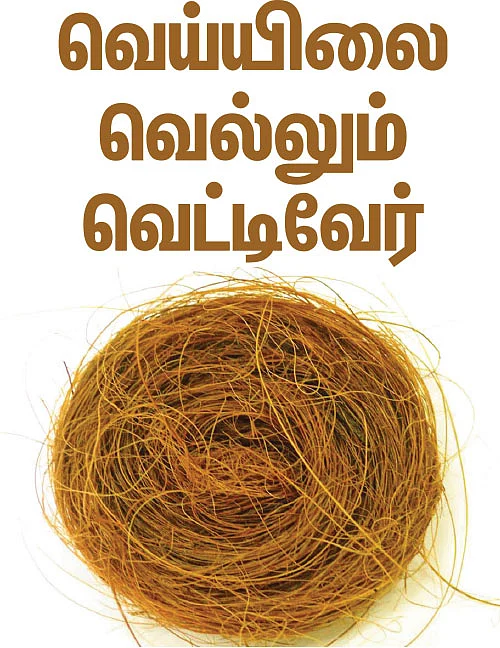 வெய்யிலை வெல்லும் வெட்டிவேர்