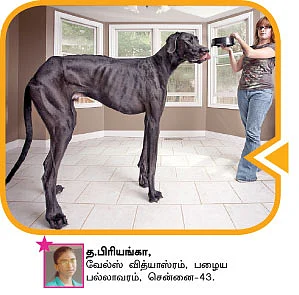 பென் டிரைவ் !