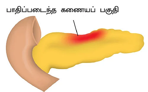 இனி எல்லாம் சுகமே - 16
