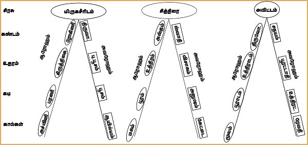 சித்தத்தை தெளிவாக்கும் ஜோதிட சிந்தனைகள்!