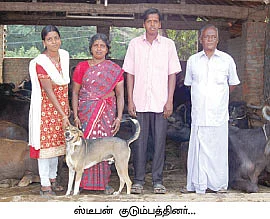 ஏற்றம் கொடுக்கும் எருமைகள்...