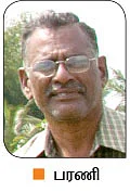 கரும்பு... இனிப்பா... கசப்பா?