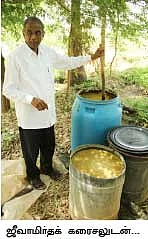 காசு... பணம்... துட்டு... மரம், மரம்!