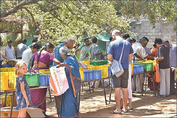 விளையும் விலையும்! - சந்தைக்கு வழிகாட்டும் தொடர் - 19