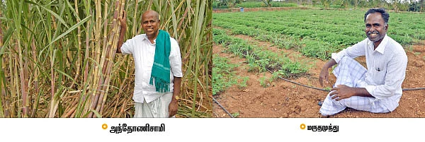 நீங்கள் உழவை நேசிப்பவரா ..?!