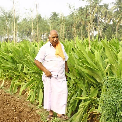 பஞ்சகவ்யா - 1