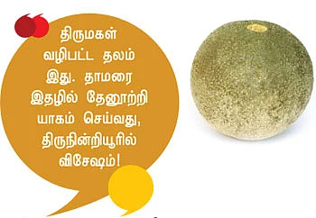 ஆரோக்கியம் அருளும் ஆலய விருட்சங்கள்!