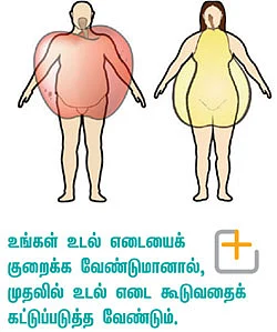 நீங்கள் ஆப்பிளா? பேரிக்காயா?