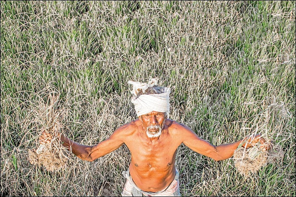 நிவாரணம் வழங்குவதில் ஊழல்... காப்பீட்டில் தாமதம்!