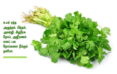 நாட்டு மருந்துக் கடை - 13