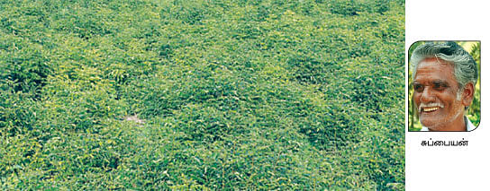 நீங்கள் கேட்டவை