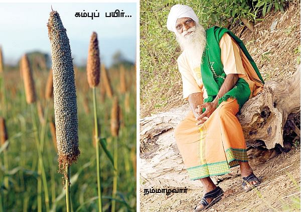 மாயா டீச்சரின் மந்திரக் கம்பளம்!