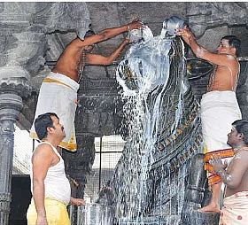 கேபிள் கலாட்டா!