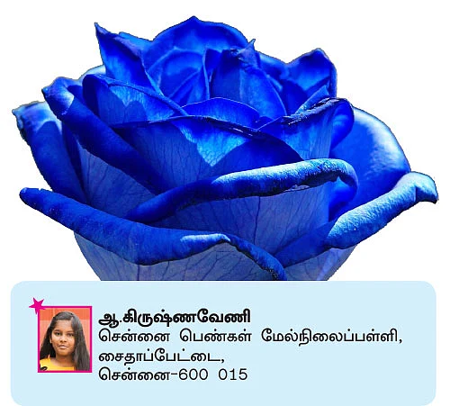 சுட்டி ஸ்டார் நியூஸ்!