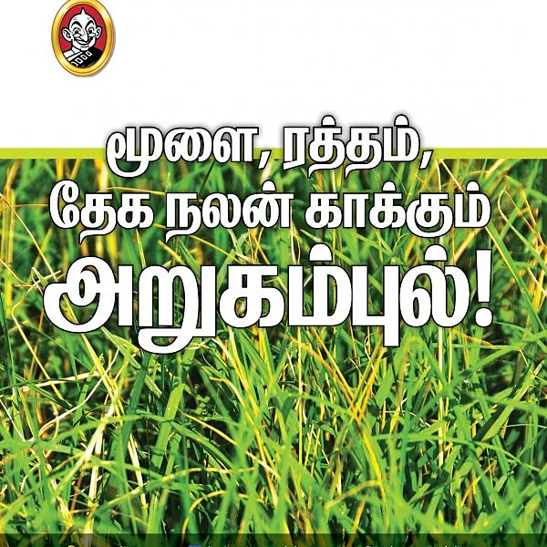 அறுகம்புல் அளிக்கும் பலன்கள்!