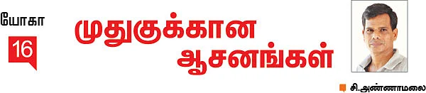 முதுகுக்கான ஆசனங்கள்