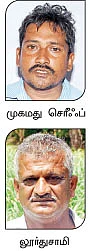 தீவனப் பயிர்கள்... புல்வெட்டும் கருவி...