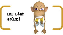 எல்லையில... அல்லையில... கொல்லையில ..!