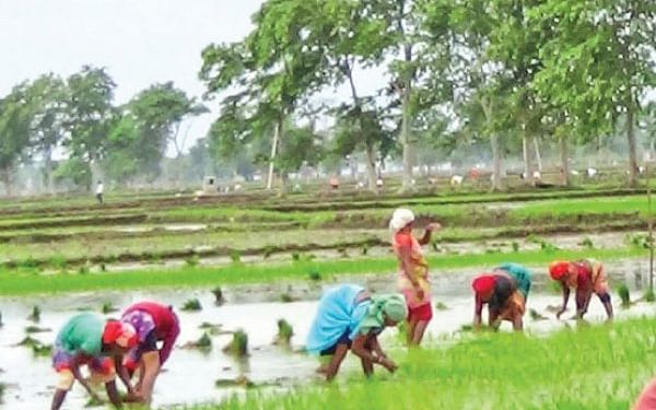 ``இயற்கை விவசாயம் அரசின் கொள்கையாக மாற வேண்டும்; வெறும் வார்த்தையாக இருக்கக் கூடாது!’’