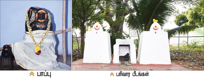 தெய்வ மனுஷிகள் - பாப்பு