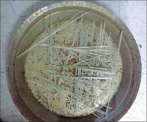 ஆடி அமாவாசை - பித்ரு தோஷம் தீர்க்கும் முன்னோர் ஆராதனை
