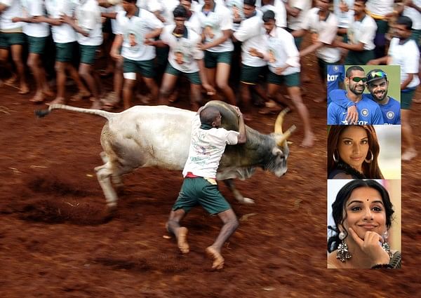 தமிழக வீர விளையாட்டை எதிர்க்கும் கிரிக்கெட் வீரர்கள், நடிகர்-நடிகைகள் யார்?