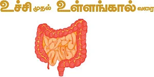 உணவு நல்லது வேண்டும்!