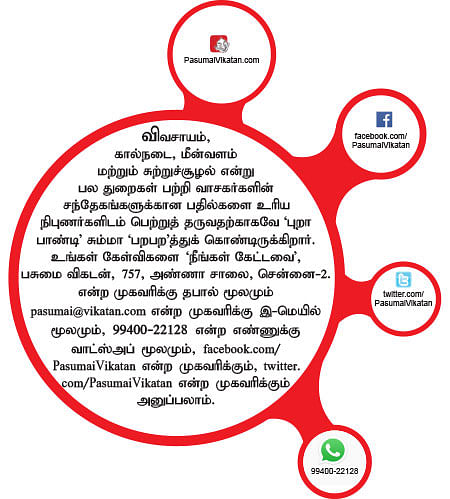 நீங்கள் கேட்டவை: நாற்று விட்டு நட்டால் நல்ல லாபம்!