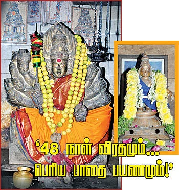 தஞ்சாவூர் குருசாமியின் அறிவுரை