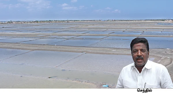 உருக்குலைந்த உப்பளங்கள்! - தீராத கஜா சோகம்... கண்ணீரில் தொழிலாளர்கள்...