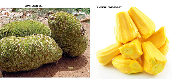 மாயா டீச்சரின் மந்திரக் கம்பளம்!