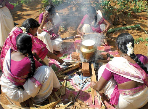 பொங்கல்...உணவுகளுக்கெல்லாம் தாய் !