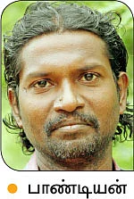 மானாவாரியில் மகத்தான விளைச்சல்... நட்டமில்லாத வருமானம் கொடுக்கும் நாட்டுக்கம்பு!