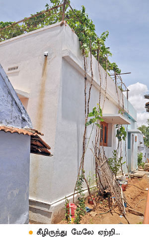 வீட்டுக்குள் விவசாயம் - 17