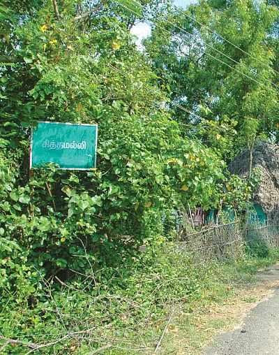 சித்தமெல்லாம் சித்தமல்லி - 3 !