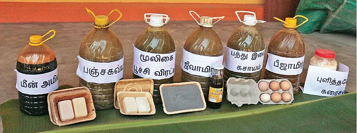 ஆண்டுக்கு ரூ 10 லட்சம் லாபம்... ஜீரோபட்ஜெட்டில் செழிக்கும் இயற்கைப் பண்ணை!