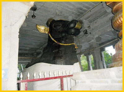 அருள்மழை பொழியும் “அமைப்பு கோயில்கள்” - Exclusive Deal.