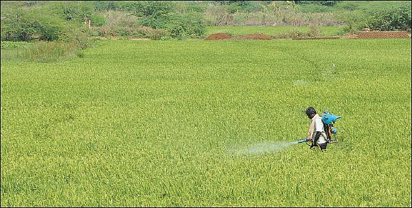 இயற்கை என்.பி.கே... மண்ணை வளமாக்கும் ஜப்பான் தொழில்நுட்பம்! - உதவிக்கு வரும் உயிரியல் - 10