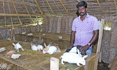என் செல்லமே...