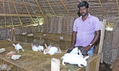என் செல்லமே...