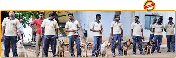 சிறைக்குச் செல்லும் நாய்கள்!