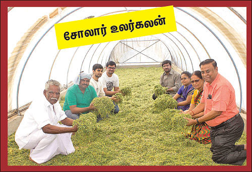 நம்மாழ்வார் சொல்லிய மதிப்புக்கூட்டும் மந்திரம்! - ஒரு நாள் விவசாயி! பருவம்-2